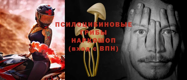 индика Аркадак
