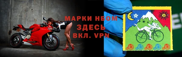 индика Аркадак