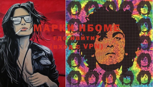 индика Аркадак