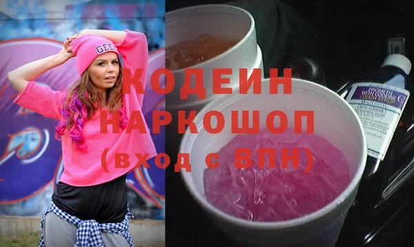 индика Аркадак