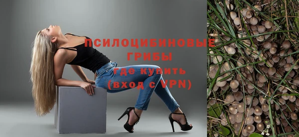 индика Аркадак
