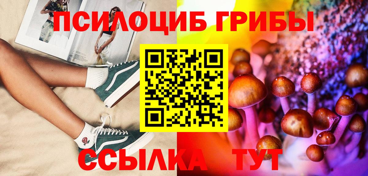 Псилоцибиновые грибы мицелий  как найти закладки  Полевской  Псилоцибиновые грибы Cubensis  Вход с VPN 