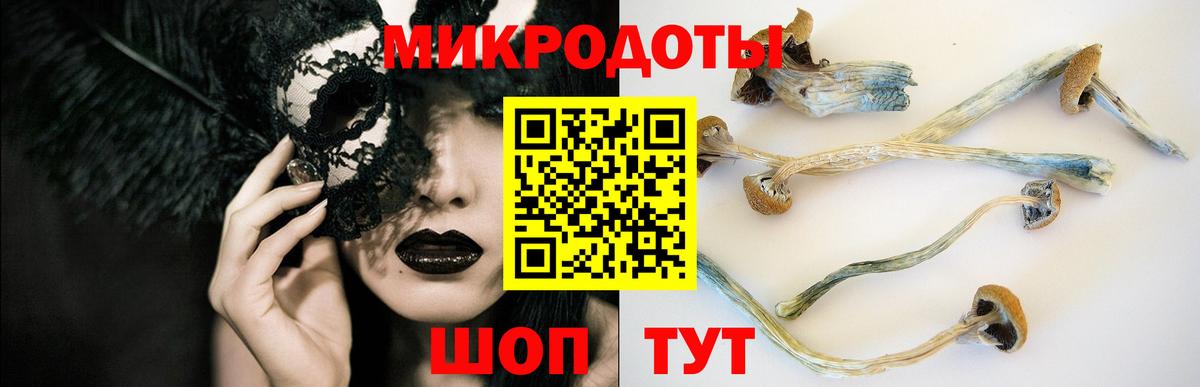 Галлюциногенные грибы Psilocybine cubensis Полевской
