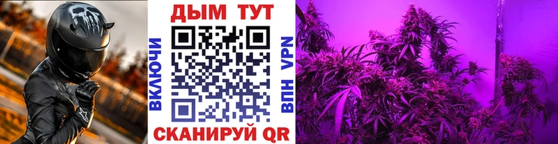 KRAKEN ссылка  Полевской  даркнет как зайти  МАРИХУАНА SATIVA & INDICA 